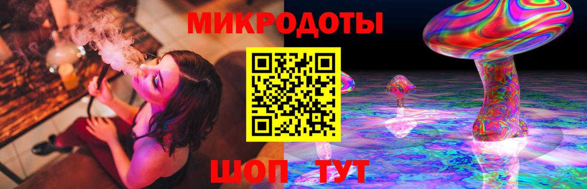 Волоколамск  Галлюциногенные грибы Psilocybine cubensis  Вход с VPN 